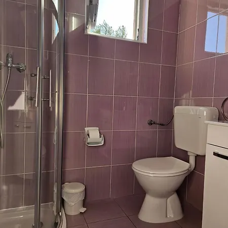 Apartment Benic *